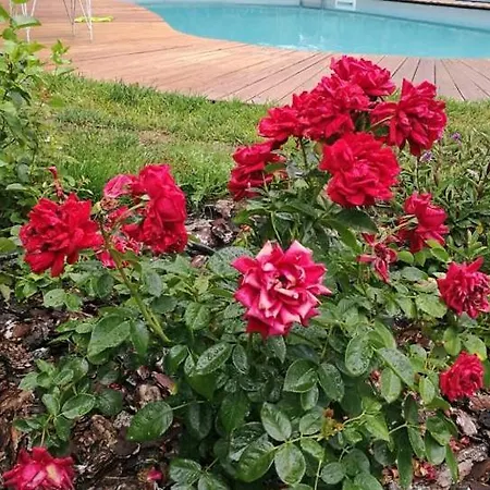 Casa Camporino Holiday home Poppi